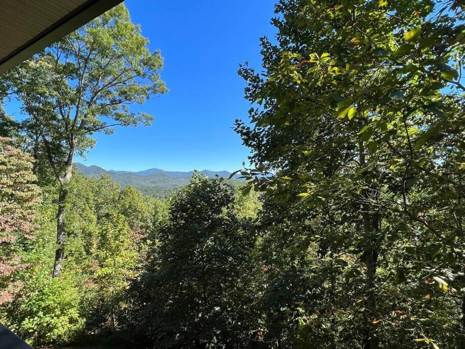 Red Rooster Family Cabin W/Hot Tub+Fire Pit+View 프랭클린 외부 사진
